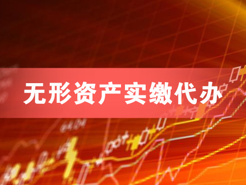 五指山无形资产实缴资本代办