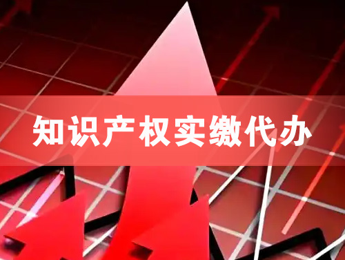 五指山知识产权实缴资本代办